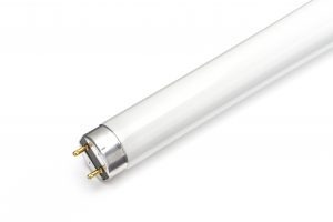 T8 Fluorescent Tubes