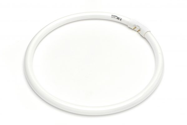 22w Circular T5 Tube 840