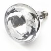 90243010 300w Infra Red Heat Lamp Clear Finish