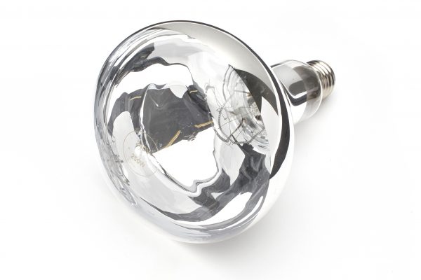 90241710 175w Infra Red Heat Lamp Clear Finish