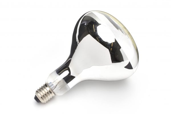 90241710 175w Infra Red Heat Lamp Clear Finish - Image 2