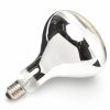 GE/Tungsram 250w Infra Red Heat Lamp Clear Finish - Image 2
