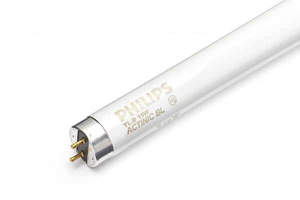 Philips TL-D 15w  Actinic BL T8 Flykiller tube
