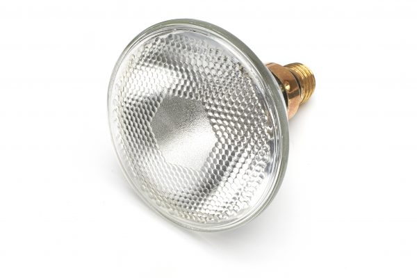 175W Infrared PAR 38 Clear Heat Lamp