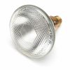 100W Infrared PAR 38 Clear Heat Lamp