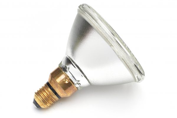 100W Infrared PAR 38 Clear Heat Lamp - Image 2