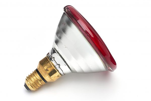 175W Infrared PAR 38 Red Heat Lamp - Image 2