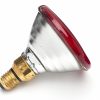100W Infrared PAR 38 Red Heat Lamp - Image 2