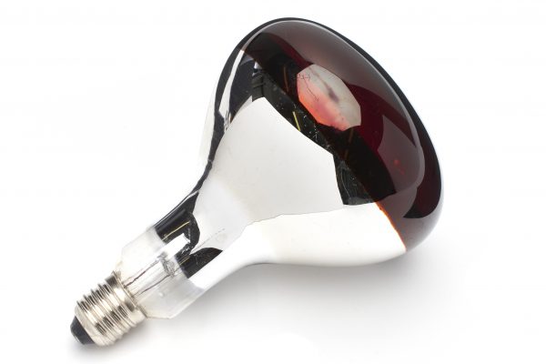 90242512 250w Infra Red Heat Lamp Red finish (Ruby) - Image 2