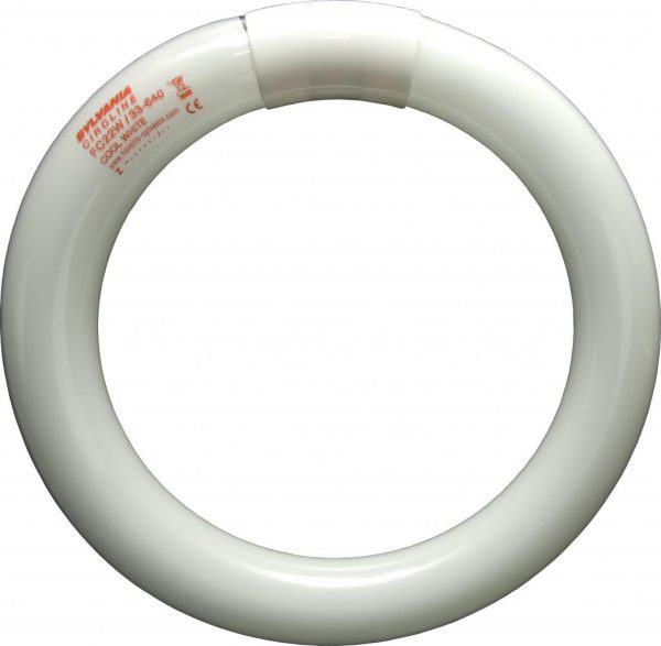 22w T9 Circular Tube Cool White 840 - Image 2
